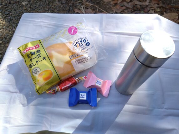 レジャーシートの上に置かれた蒸しケーキとチョコレート、ステンレスボトル。公園でのおやつタイムに活用している様子。